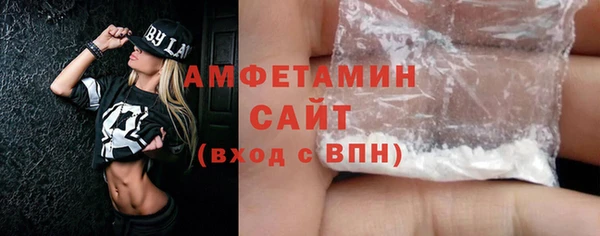 дмт Богданович