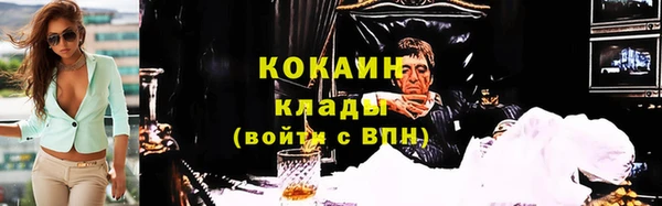 дмт Богданович