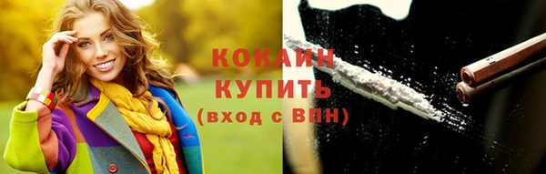дмт Богданович