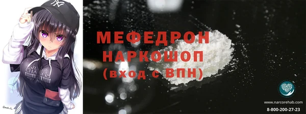 индика Инта