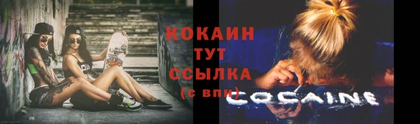 твердый Богородск
