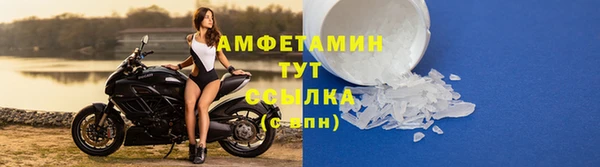 дмт Богданович