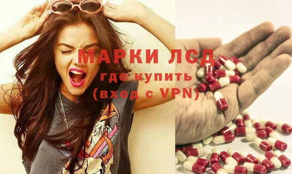 дмт Богданович
