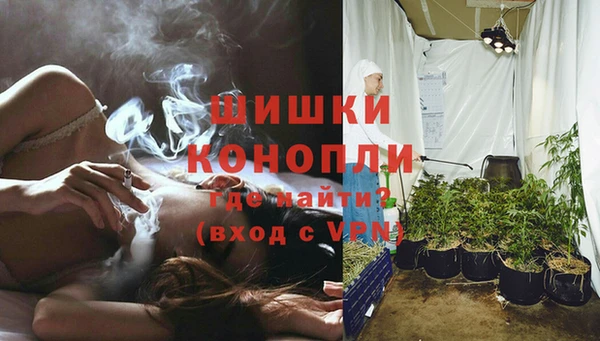 твердый Богородск