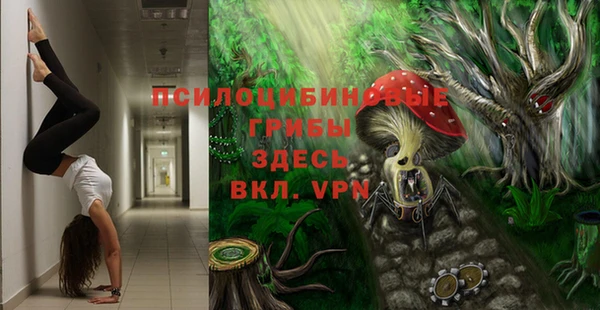 твердый Богородск