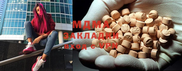 дмт Богданович