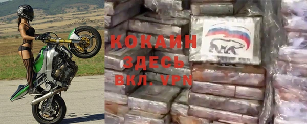 твердый Богородск