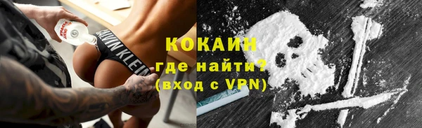 твердый Богородск